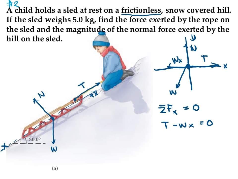 #2
A child holds a sled at rest on a frictionless, snow covered hill.
If the sled weighs 5.0 kg, find the force exerted by the rope on
the sled and the magnitude of the normal force exerted by the
hill on the sled.
Wz
T
+X
an
30.0°
W
(a)
اد
W
ZFx = 0
T-Wx=O
X