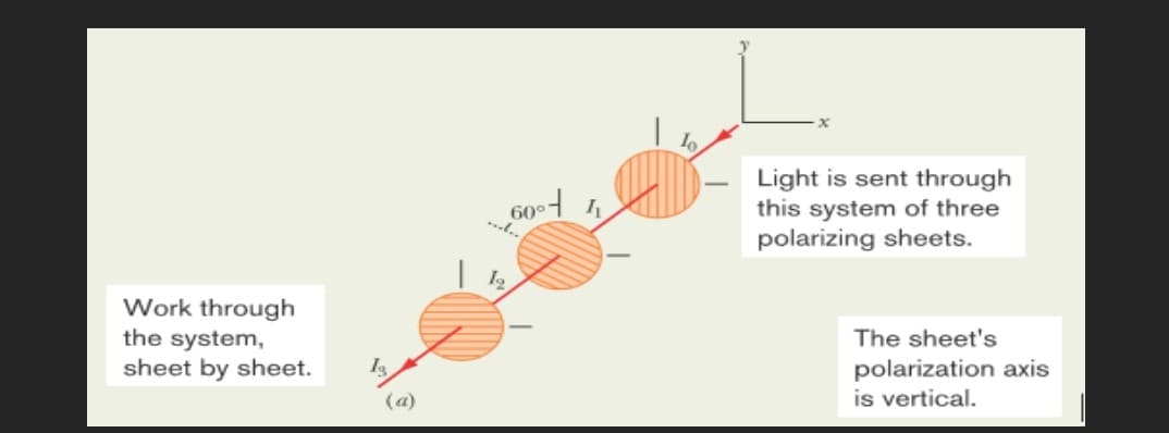 Light is sent through
this system of three
polarizing sheets.
Fo09
Work through
the system,
sheet by sheet.
The sheet's
polarization axis
is vertical.
(a)
