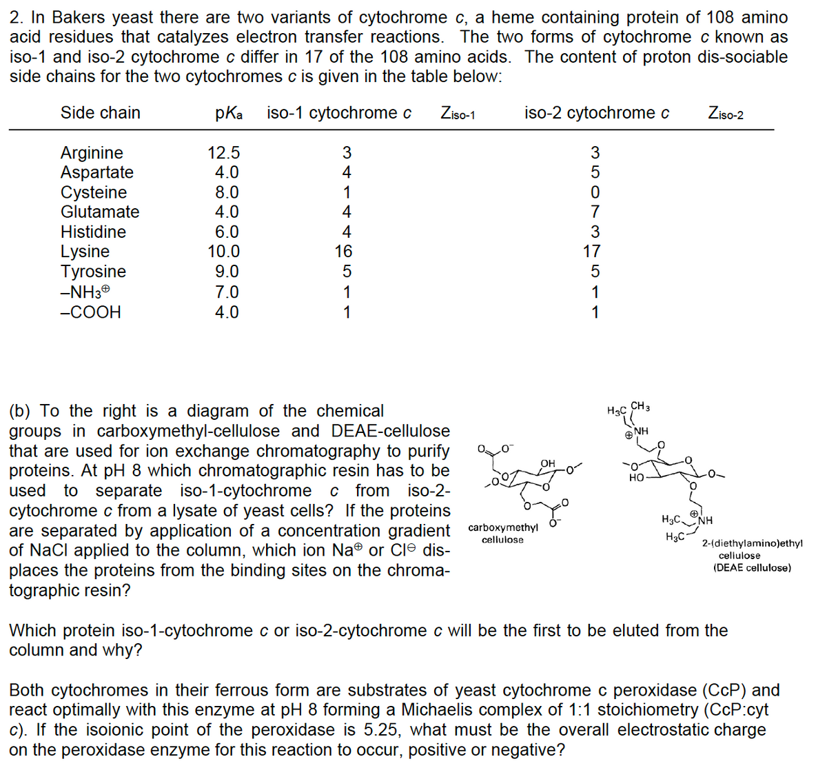 2. In Bakers yeast there are two variants of cytochrome c, a heme containing protein of 108 amino
acid residues that catalyzes electron transfer reactions. The two forms of cytochrome c known as
iso-1 and iso-2 cytochrome c differ in 17 of the 108 amino acids. The content of proton dis-sociable
side chains for the two cytochromes c is given in the table below:
Side chain
pKa iso-1 cytochrome c Ziso-1
Arginine
Aspartate
Cysteine
Glutamate
Histidine
Lysine
Tyrosine
-NH3Ⓡ
-COOH
12.5
4.0
8.0
4.0
6.0
10.0
9.0
7.0
4.0
34
1
4
4
16
⑤
5
1
1
iso-2 cytochrome c
(b) To the right is a diagram of the chemical
groups in carboxymethyl-cellulose and DEAE-cellulose
that are used for ion exchange chromatography to purify
proteins. At pH 8 which chromatographic resin has to be
used to separate iso-1-cytochrome c from iso-2-
cytochrome c from a lysate of yeast cells? If the proteins
are separated by application of a concentration gradient carboxymethyl
of NaCl applied to the column, which ion Na® or Cle dis-
places the proteins from the binding sites on the chroma-
tographic resin?
Joo
cellulose
OH
3
77751 vouw
5
7
3
H3C
CH 3
NH
HO
Ziso-2
HỌC LẠNH
H3C
2-(diethylamino)ethyl
cellulose
(DEAE cellulose)
Which protein iso-1-cytochrome c or iso-2-cytochrome c will be the first to be eluted from the
column and why?
Both cytochromes in their ferrous form are substrates of yeast cytochrome c peroxidase (CCP) and
react optimally with this enzyme at pH 8 forming a Michaelis complex of 1:1 stoichiometry (CcP:cyt
c). If the isoionic point of the peroxidase is 5.25, what must be the overall electrostatic charge
on the peroxidase enzyme for this reaction to occur, positive or negative?