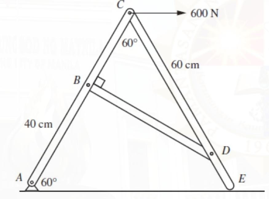 600 N
60°
60 cm
B
40 cm
D
A
60°
E
