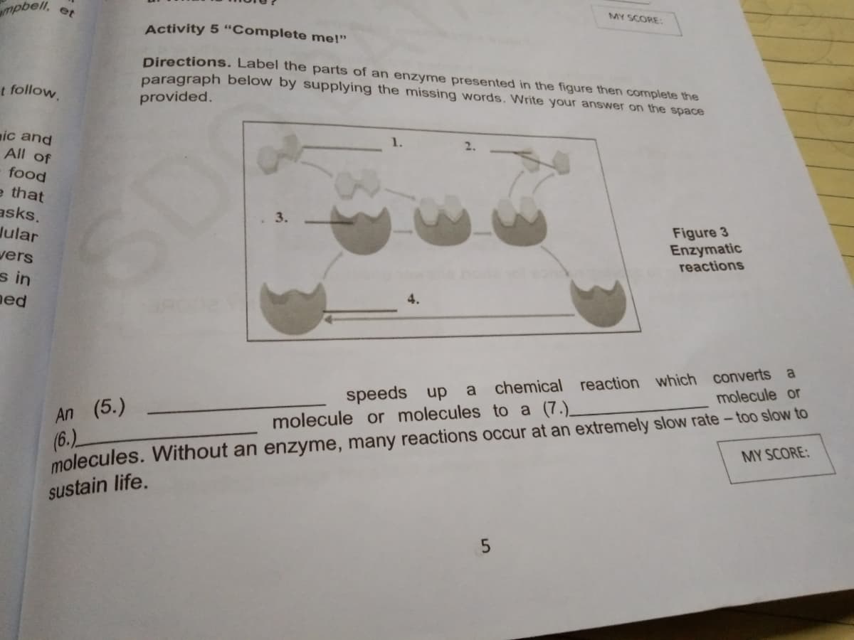 mpbell,
et
MY SCORE:
Activity 5 “Complete me!"
Directions. Label the parts of an enzyme presented in the figure then complete the
paragraph below by supplying the missing words. Write your answer on the space
t follow.
provided.
ic and
All of
food
e that
asks.
Jular
vers
s in
ned
2.
3.
Figure 3
Enzymatic
reactions
4.
chemical reaction which converts
molecule or
a
a
speeds
up
(5.)
(6.)
molecules. Without an enzyme, many reactions occur at an extremely slow rate– too slow to
An
molecule or molecules to a (7.)_
MY SCORE:
sustain life.
