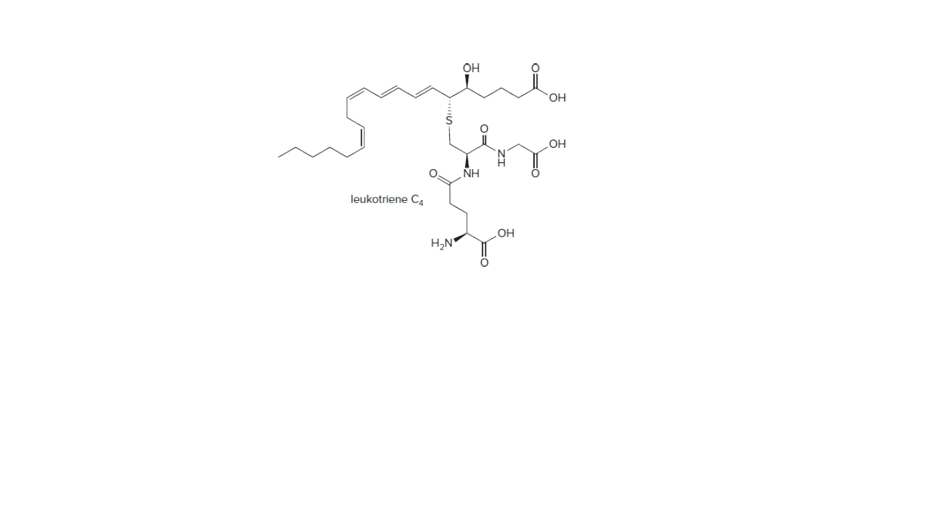 OH
HO.
HO
NH
leukotriene Ca
H,N
ZI
