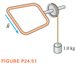 1.0 kg
FIGURE P24.51
