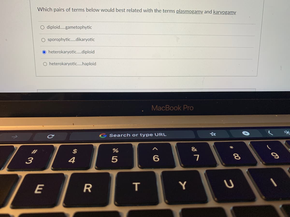 Which pairs of terms below would best related with the terms plasmogamy and karyogamy
O diploid.gametophytic
O sporophytic.dikaryotic
heterokaryotic.diploid
O heterokaryotic.haploid
MacBook Pro
G Search or type URL
%23
$
4
E
R
T
Y
* 00
