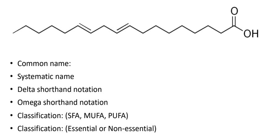 ОН
Common name:
Systematic name
• Delta shorthand notation
Omega shorthand notation
• Classification: (SFA, MUFA, PUFA)
• Classification: (Essential or Non-essential)
