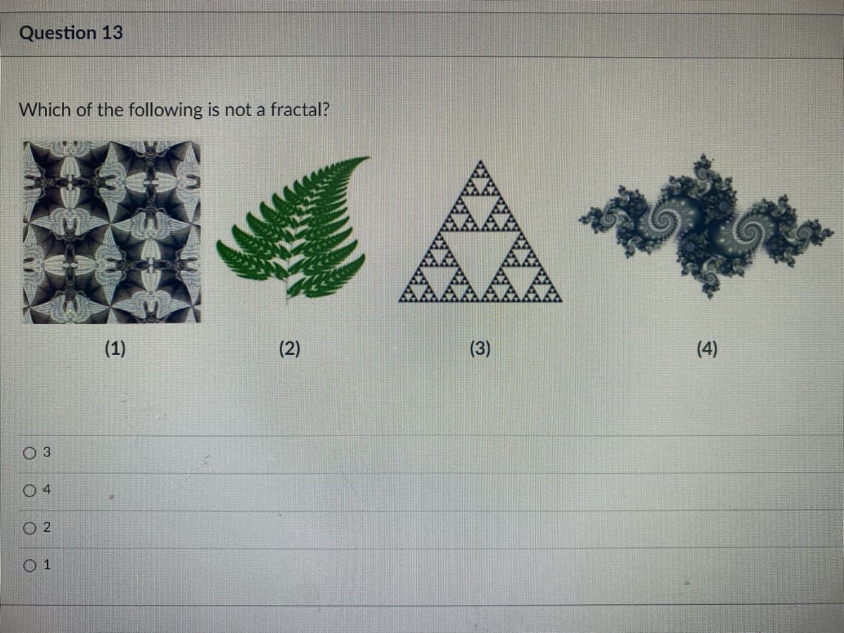 Question 13
Which of the following is not a fractal?
O 3
02
01
(1)
(2)
(3)
(4)