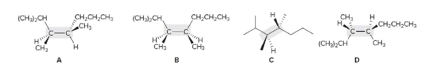 CH,CH,CH3
CH3
(CH3CH,
CHз
Н,
(CH2)2CH
CH,CH2CH3
Н
CH;CH2CH3
Aン
CH3
Hi,
CH3
(CH3)2CH
CH3
Н
CH3
B
D

