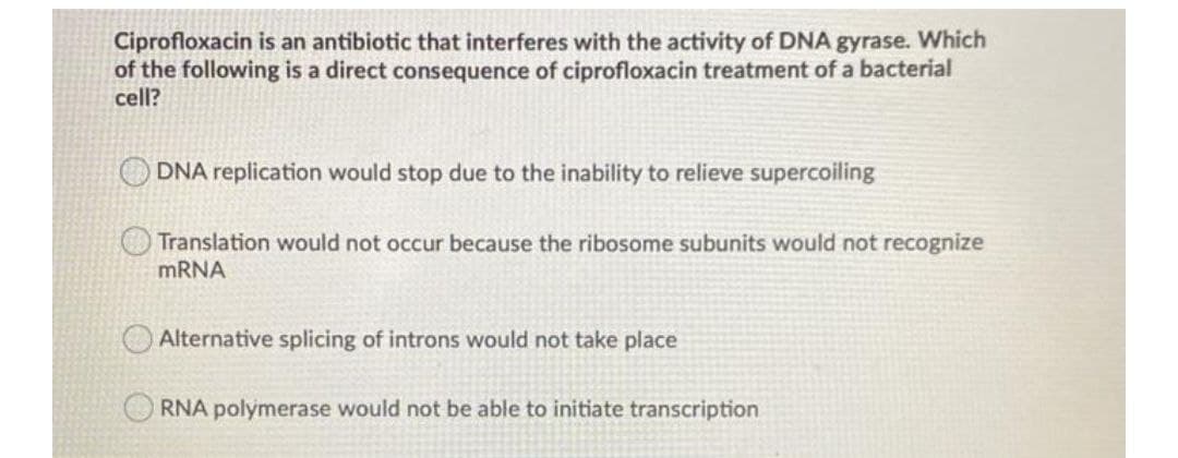 Ciprofloxacin is an antibiotic that interferes with the activity of DNA gyrase. Which
of the following is a direct consequence of ciprofloxacin treatment of a bacterial
cell?
O DNA replication would stop due to the inability to relieve supercoiling
Translation would not occur because the ribosome subunits would not recognize
MRNA
Alternative splicing of introns would not take place
RNA polymerase would not be able to initiate transcription
