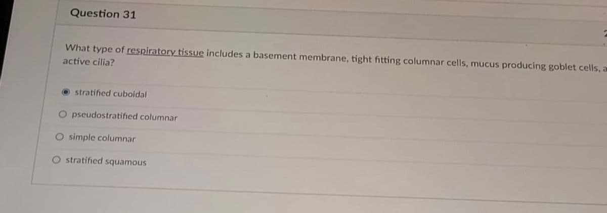 Question 31
What type of respiratory tissue includes a basement membrane, tight fitting columnar cells, mucus producing goblet cells, a
active cilia?
O stratified cuboidal
O pseudostratified columnar
O simple columnar
O stratified squamous
