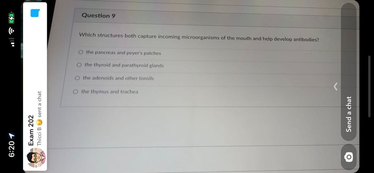 Question 9
Which structures both capture incoming microorganisms of the mouth and help develop antibodies?
O the pancreas and peyer's patches
O the thyroid and parathyroid glands
O the adenoids and other tonsils
O the thymus and trachea
6:20 1
Exam 202
Thicci B O sent a chat
Send a chat
