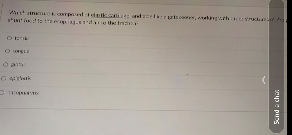 Which structure is composed of elastic cartilage, and acts like a gatekeeper, working with other structures of the
shunt food to the esophagus and air to the trachea?
tonsils
O tongue
O glottis
O epiglottis
O nasopharynx
Send a chat
