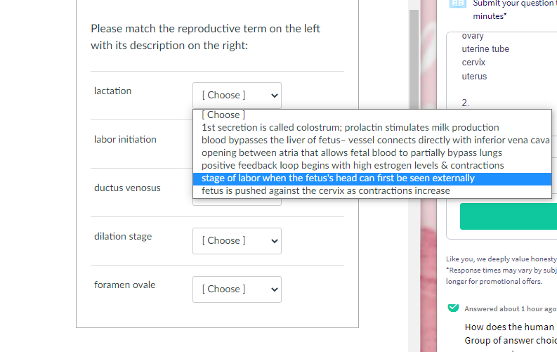 EB Submit your question
minutes
Please match the reproductive term on the left
ovary
with its description on the right:
uterine tube
cervix
uterus
lactation
[ Choose ]
[Choose ]
2.
1st secretion is called colostrum; prolactin stimulates milk production
blood bypasses the liver of fetus- vessel connects directly with inferior vena cava
opening between atria that allows fetal blood to partially bypass lungs
positive feedback loop begins with high estrogen levels & contractions
stage of labor when the fetus's head can first be seen externally
fetus is pushed against the cervix as contractions increase
labor initiation
ductus venosus
dilation stage
[ Choose ]
Like you, we deeply value honesty
*Response times may vary by subj
foramen ovale
longer for promotional offers.
[ Choose ]
Answered about 1 hour ago
How does the human
Group of answer choid
