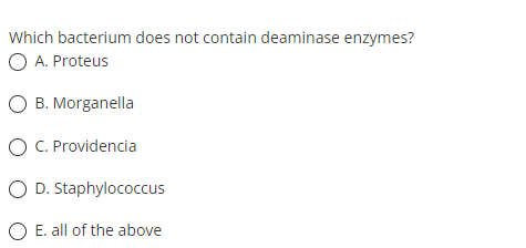 Which bacterium does not contain deaminase enzymes?
O A. Proteus
O B. Morganella
O C. Providencia
O D. Staphylococcus
O E. all of the above
