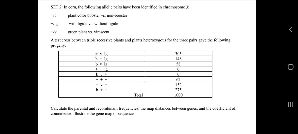 SET 2: In corn, the following allelic pairs have been identified in chromosome 3:
+/b
plant color booster vs. non-booster
+/lg
with ligule vs. without ligule
+/v
green plant vs. virescent
A test cross between triple recessive plants and plants heterozygous for the three pairs gave the following
progeny:
+ v lg
305
b + lg
b v lg
+ + lg
b v +
148
58
+ + +
62
+ y +
152
b + +
275
Total
1000
Calculate the parental and recombinant frequencies, the map distances between genes, and the coefficient of
coincidence. Illustrate the gene map or sequence.
