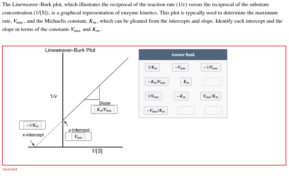 The Lineweaver-Burk plot, which illustrates the reciprocal of the reaction rate (1/v) versus the reciprocal of the substrate
concentration (1/[S]), is a graphical representation of enzyme kinetics. This plot is typically used to determine the maximum
rate, Vmax, and the Michaelis constant, Km, which can be gleaned from the intercepts and slope. Identify each intercept and the
slope in terms of the constants Vmax and Km.
Incorrect
-1/Km
x-intercept
Lineweaver-Burk Plot
1/v
v-intercept
Vmax
Slope
Km/Vmax
1/[S]
1/Km
-Km/Vma
1/Vmax
-Vmax/Km
Answer Bank
-Vmax
Km
-Km
-1/Vmax
Vmax/Km