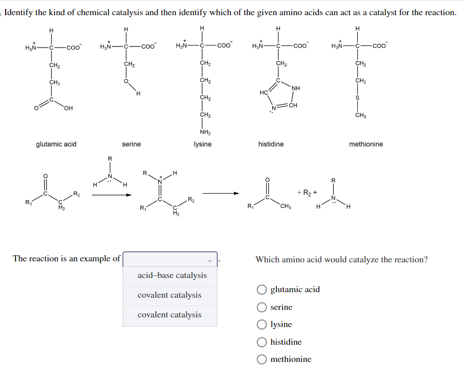 Identify the kind of chemical catalysis and then identify which of the given amino acids can act as a catalyst for the reaction.
H
H₂N-
H
CH₂
CH₂
coo
OH
glutamic acid
H₂N-
CH₂
-Coo
serine
The reaction is an example of
A
H
H₂N-
R.
H
X
R₁
H
R₂
CH₂
CH₂
CH₂
CH₂
|
NH₂
lysine
acid-base catalysis
covalent catalysis
covalent catalysis
-coo
H₂N-
HC
CH₂
histidine
coo
ΝΗ
CH
CH3
+ R₂ +
H₂N-
glutamic acid
serine
O lysine
CH₂
histidine
methionine
CH₂
S
A
H
CH3
methionine
Which amino acid would catalyze the reaction?