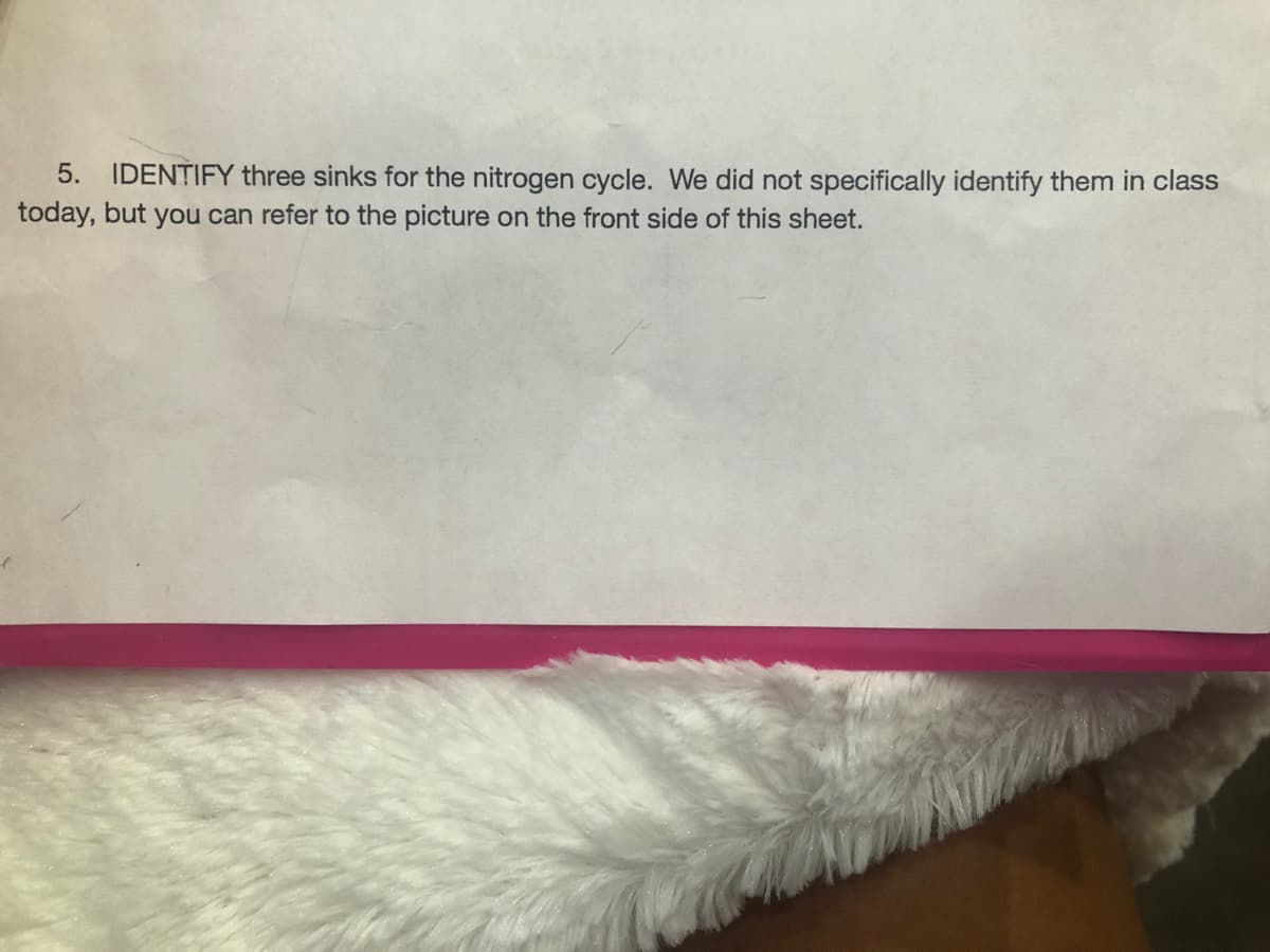 5. IDENTIFY three sinks for the nitrogen cycle. We did not specifically identify them in class
today, but you can refer to the picture on the front side of this sheet.
