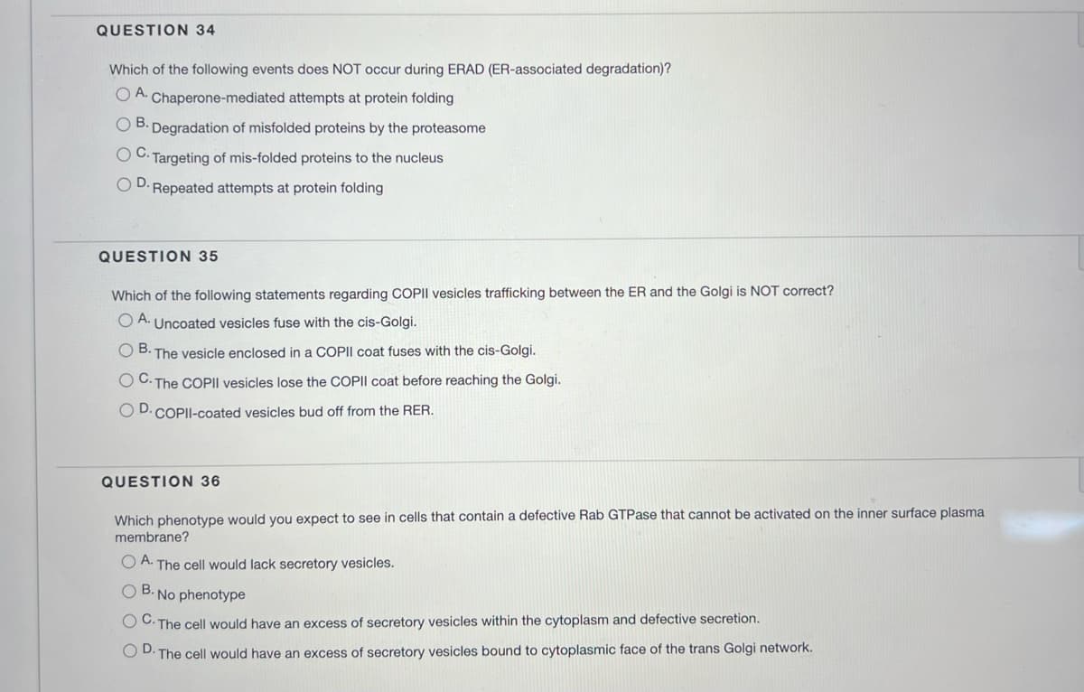 QUESTION 34
Which of the following events does NOT occur during ERAD (ER-associated degradation)?
OA. Chaperone-mediated attempts at protein folding
OB. Degradation of misfolded proteins by the proteasome
OC. Targeting of mis-folded proteins to the nucleus
OD. Repeated attempts at protein folding
QUESTION 35
Which of the following statements regarding COPII vesicles trafficking between the ER and the Golgi is NOT correct?
OA. Uncoated vesicles fuse with the cis-Golgi.
OB. The vesicle enclosed in a COPII coat fuses with the cis-Golgi.
OC. The COPII vesicles lose the COPII coat before reaching the Golgi.
OD. COPII-coated vesicles bud off from the RER.
QUESTION 36
Which phenotype would you expect to see in cells that contain a defective Rab GTPase that cannot be activated on the inner surface plasma
membrane?
OA. The cell would lack secretory vesicles.
OB. No phenotype
OC. The cell would have an excess of secretory vesicles within the cytoplasm and defective secretion.
OD. The cell would have an excess of secretory vesicles bound to cytoplasmic face of the trans Golgi network.