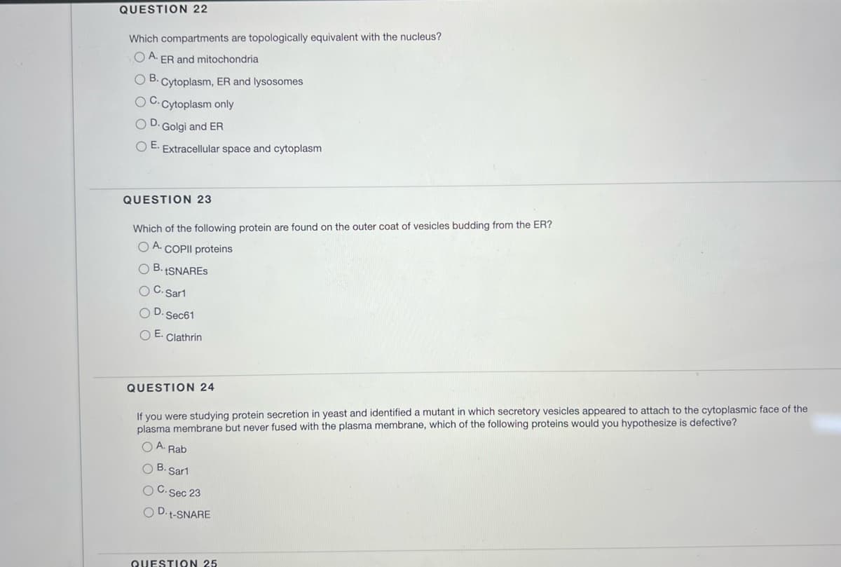 QUESTION 22
Which compartments are topologically equivalent with the nucleus?
OA. ER and mitochondria
B. Cytoplasm, ER and lysosomes
C. Cytoplasm only
Golgi and ER
Extracellular space and cytoplasm
E.
QUESTION 23
Which of the following protein are found on the outer coat of vesicles budding from the ER?
OA. COPII proteins
OB. +SNARES
OC. Sar1
OD. Sec61
OE. Clathrin
QUESTION 24
If you were studying protein secretion in yeast and identified a mutant in which secretory vesicles appeared to attach to the cytoplasmic face of the
plasma membrane but never fused with the plasma membrane, which of the following proteins would you hypothesize is defective?
O A. Rab
OB. Sar1
OC. Sec 23
OD-t-SNARE
QUESTION 25