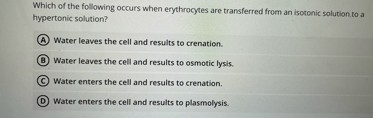 Which of the following occurs when erythrocytes are transferred from an isotonic solution to a
hypertonic solution?
Water leaves the cell and results to crenation.
B Water leaves the cell and results to osmotic lysis.
C) Water enters the cell and results to crenation.
D Water enters the cell and results to plasmolysis.
