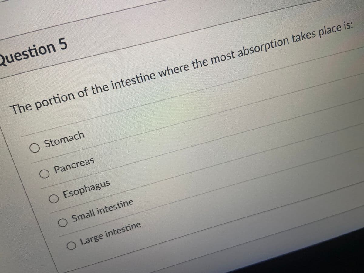 Question 5
The portion of the intestine where the most absorption takes place is:
Stomach
O Pancreas
O Esophagus
O Small intestine
O Large intestine
