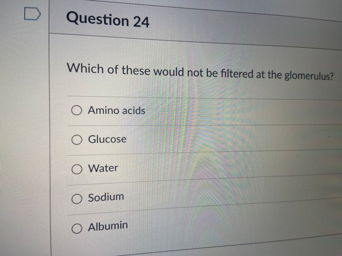 Question 24
Which of these would not be filtered at the glomerulus?
O Amino acids
O Glucose
O Water
O Sodium
Albumin
