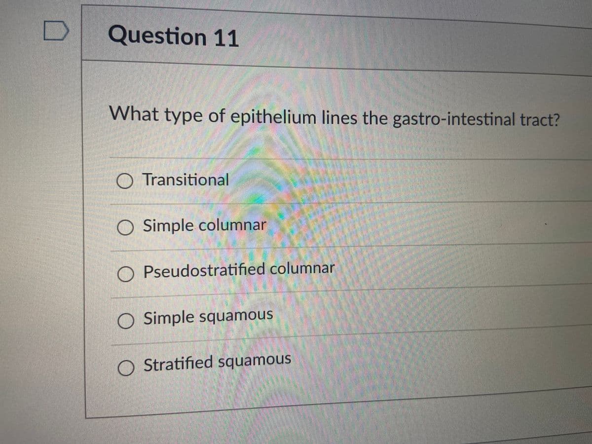 Question 11
What type of epithelium lines the gastro-intestinal tract?
O Transitional
O Simple columnar
O Pseudostratified columnar
O Simple squamous
O Stratified squamous
