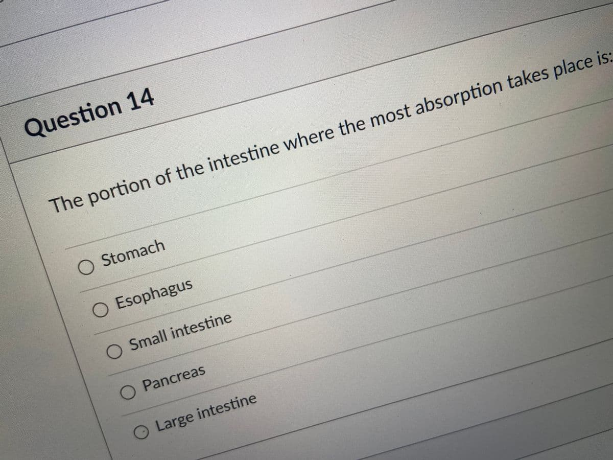 Question 14
The portion of the intestine where the most absorption takes place is:
O Stomach
Esophagus
O Small intestine
O Pancreas
O Large intestine
