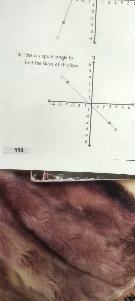 6. Use a slope triangle to
find the slope of this line:
442
-1
-2
-3
-4
-5
5
4
3
2
1
-6 -5 -4 -3 -2 -1
-1
-2
-3
-4
-5
-6
1
1 2 3 4 5 6
2 3 4 5 6