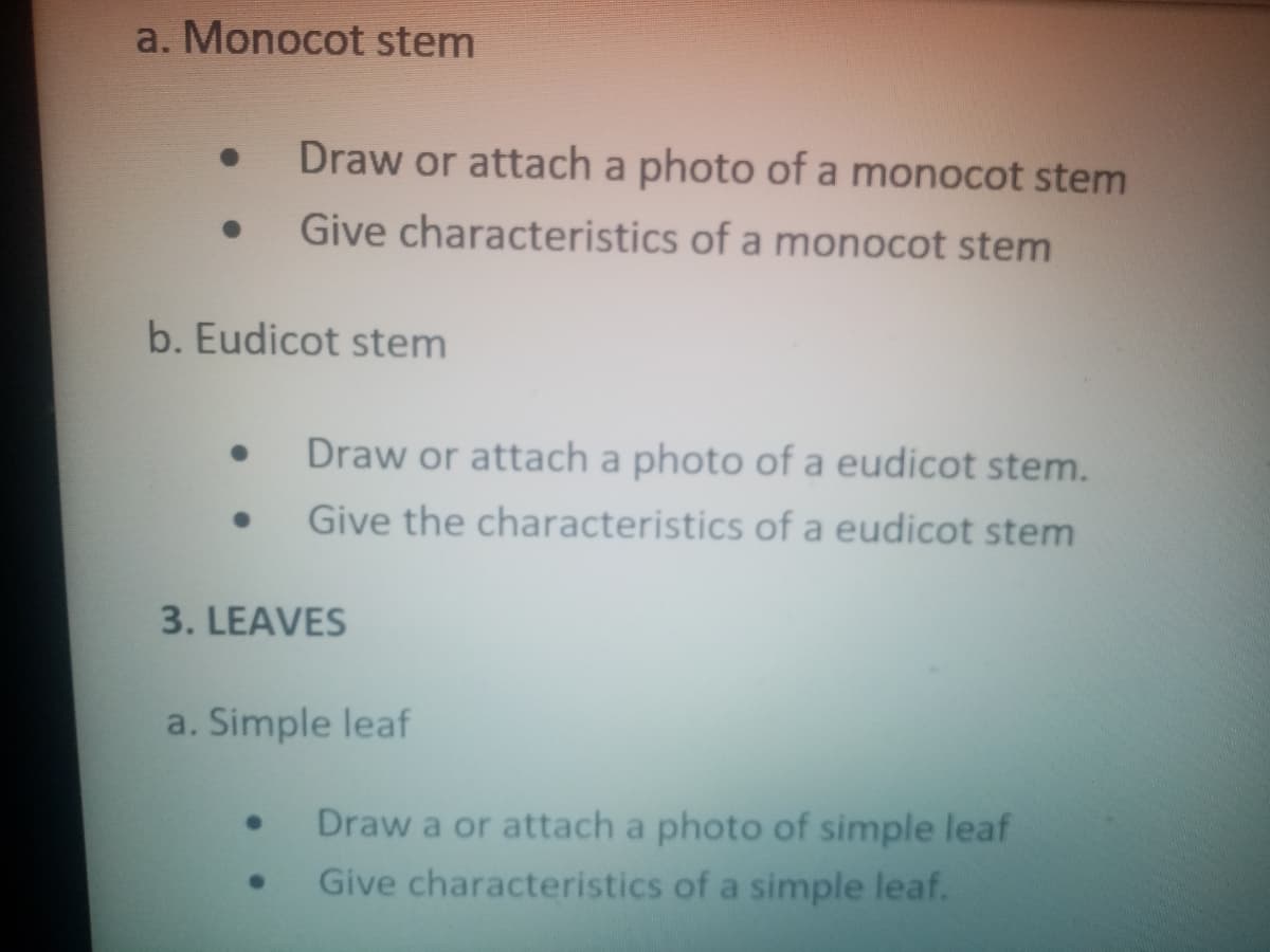 a. Monocot stem
Draw or attach a photo of a monocot stem
Give characteristics of a monocot stem
b. Eudicot stem
Draw or attach a photo of a eudicot stem.
Give the characteristics of a eudicot stem
3. LEAVES
a. Simple leaf
Draw a or attach a photo of simple leaf
Give characteristics of a simple leaf.
