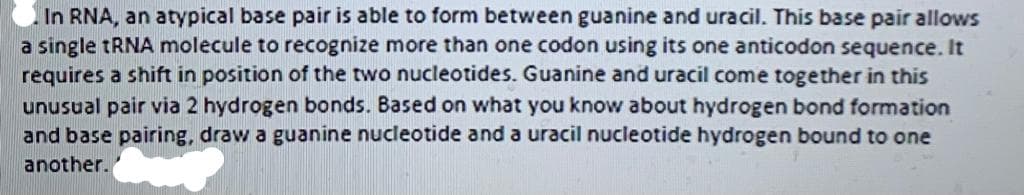 In RNA, an atypical base pair is able to form between guanine and uracil. This base pair allows
a single tRNA molecule to recognize more than one codon using its one anticodon sequence. It
requires a shift in position of the two nucleotides. Guanine and uracil come together in this
unusual pair via 2 hydrogen bonds. Based on what you know about hydrogen bond formation
and base pairing, draw a guanine nucleotide and a uracil nucleotide hydrogen bound to one
another.
