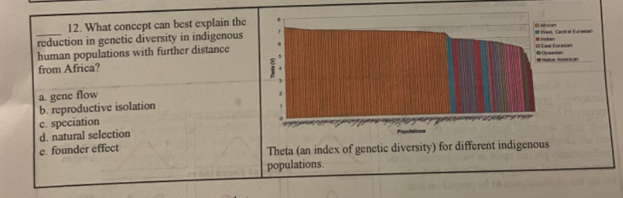 12. What concept can best explain the
reduction in genetic diversity in indigenous
human populations with further distance
from Africa?
a. gene flow
b. reproductive isolation
c. speciation
d. natural selection
e. founder effect
The (
7
Alican
West Ceres Eur
Indian
ad Eurasian
Ocearian
Native American
Populations
Theta (an index of genetic diversity) for different indigenous
populations.