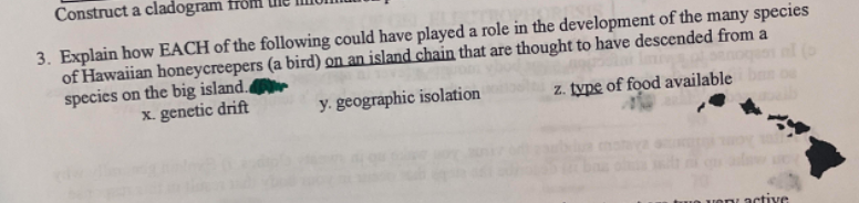 ### Adaptive Radiation and Evolution of Hawaiian Honeycreepers

The Hawaiian honeycreepers provide a fascinating case study in adaptive radiation. This term refers to the process by which organisms diversify rapidly into a multitude of new forms, particularly when environmental changes make new resources available or create new challenges.

#### Question for Consideration
**3. Explain how EACH of the following could have played a role in the development of the many species of Hawaiian honeycreepers (a bird) on an island chain that are thought to have descended from a species on the big island:**

**x. Genetic Drift**
Genetic drift refers to random changes in the frequency of alleles within a population. In small, isolated populations, such as those found on islands, genetic drift can lead to significant evolutionary changes. Over time, random mutations might become fixed within the population, leading to genetic differences between species on different islands.

**y. Geographic Isolation**
Geographic isolation occurs when populations are separated by physical barriers, such as mountains, rivers, or in this case, islands. This isolation prevents gene flow between populations, which allows them to evolve independently. Over time, species that were once identical can diverge significantly.

**z. Type of Food Available**
The type of food available in different environments can exert selective pressure on populations. Birds that feed on nectar will evolve different traits compared to those that feed on seeds or insects. These differences in diet can lead to morphological adaptations, such as varying beak shapes, which contribute to the diversification of species.

#### Illustrations
The image includes a map of the Hawaiian Islands, which helps to visualize the geographic isolation crucial to the honeycreeper's evolution. This archipelago setting serves as a natural laboratory for studying how species diversification occurs in an isolated environment.

By understanding these mechanisms, we gain insight into the processes that drive evolution and the creation of biodiversity.