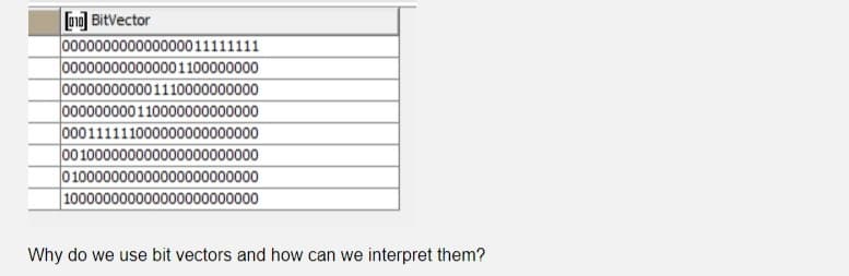[ong BitVector
000000000000000011111111
000000000000001100000000
000000000001110000000000
000000000110000000000000
000111111000000000000000
00 1000000000000000000000
010000000000000000000000
|100000000000000000000000
Why do we use bit vectors and how can we interpret them?

