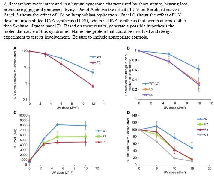 2. Researchers were interested in a human syndrome characterized by short stature, hearing loss,
premature aging and photosensitivity. Panel A shows the effect of UV on fibroblast survival.
Panel B shows the effect of UV on lymphoblast replication. Panel C shows the effect of UV
dose on unscheduled DNA synthesis (UDS), which is DNA synthesis that occurs at times other
than S-phase. Ignore panel D. Based on these results, generate a possible hypothesis the
molecular cause of this syndrome. Name one protein that could be involved and design
experiment to test its involvement. Be sure to include appropriate controls.
в
100
WT
0.8
P3
10
0.6
0.4
WT (L7)
0.2
L5
-L6
0.1
4 6 8
UV dose (J/m)
2
4
6
8
10
12
14
2
10
12
UV dose (J/m)
10000
140
WT
9000
120
8000
P2
7000
100
P3
WT
6000
CS
P2
80
5000
60
4000
3000
40
2000
20
1000
2
4
8
10
12
10
UV dose (J/m)
15
20
UV dose (J/m)
UDS/cell (AU)
% Survival relative to unirradiated >
% RRS relative to unirradiated O
Population doublings in 72 h
relative to unirradiated
