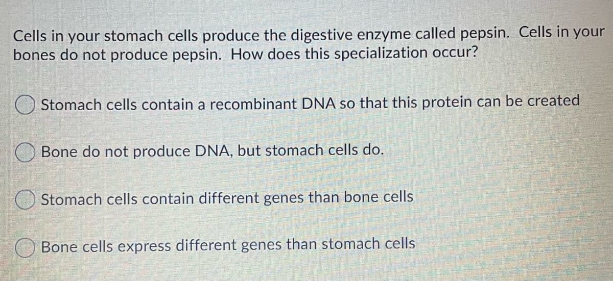 Cells in your stomach cells produce the digestive enzyme called pepsin. Cells in your
bones do not produce pepsin. How does this specialization occur?
Stomach cells contain a recombinant DNA so that this protein can be created
O Bone do not produce DNA, but stomach cells do.
Stomach cells contain different genes than bone cells
O Bone cells express different genes than stomach cells
