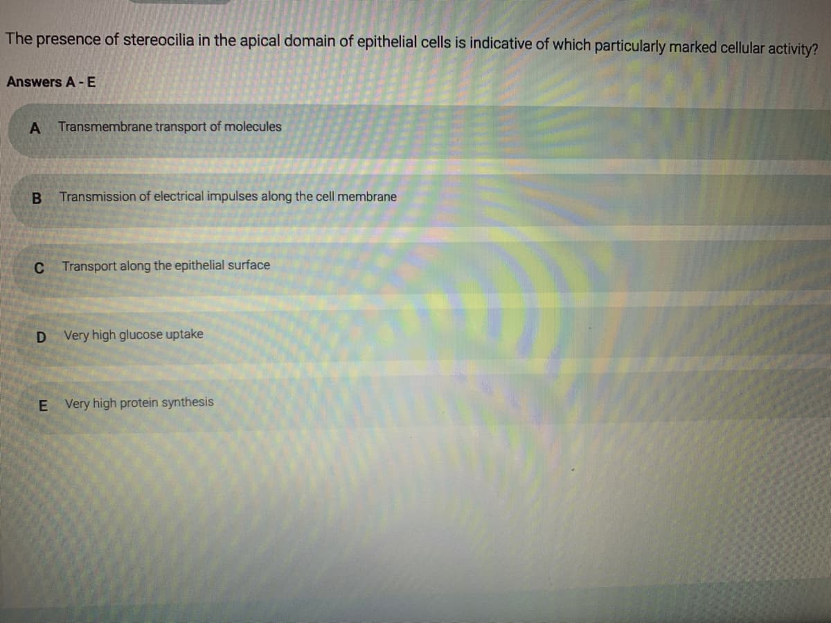 The presence of stereocilia in the apical domain of epithelial cells is indicative of which particularly marked cellular activity?
Answers A -E
A
Transmembrane transport of molecules
Transmission of electrical impulses along the cell membrane
Transport along the epithelial surface
Very high glucose uptake
E Very high protein synthesis
