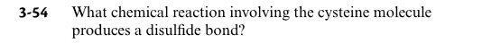 What chemical reaction involving the cysteine molecule
produces a disulfide bond?
3-54
