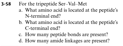 For the tripeptide Ser-Val–Met
a. What amino acid is located at the peptide's
3-58
N-terminal end?
b. What amino acid is located at the peptide's
C-terminal end?
c. How many peptide bonds are present?
d. How many amide linkages are present?
