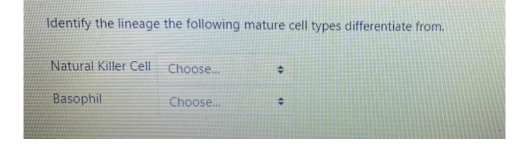 Identify the lineage the following mature cell types differentiate from.
Natural Killer Cell
Choose.
Basophil
Choose...
