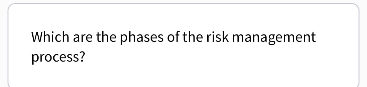 Which are the phases of the risk management
process?