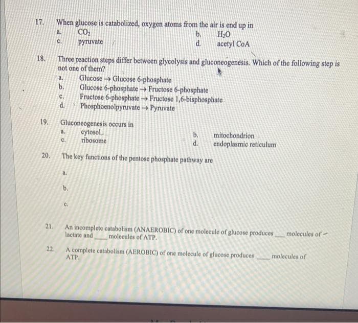 When glucose is catabolized, oxygen atoms from the air is end up in
H,0
acetyl CoA
17.
b.
C.
ругпuvate
d.
18. Three reaction steps differ between glycolysis and gluconeogenesis. Which of the following step is
not one of them?
a.
Glucose → Glucose 6-phosphate
b.
Glucose 6-phosphate → Fructose 6-phosphate
C.
Fructose 6-phosphate → Fructose 1,6-bisphosphate
d.
Phosphoenolpyruvate → Pyruvate
19.
Gluconeogenesis occurs in
cytosol_
ribosome
mitochondrion
endoplasmic reticulum
a.
b.
C.
d.
20. The key functions of the pentose phosphate pathway are
a.
b.
C.
21.
An incomplete catabolism (ANAEROBIC) of one molecule of glucose produces molecules of -
lactate and
molecules of ATP.
22.
A complete catabolism (AEROBIC) of one molecule of glucose produces
ATP.
molecules of
