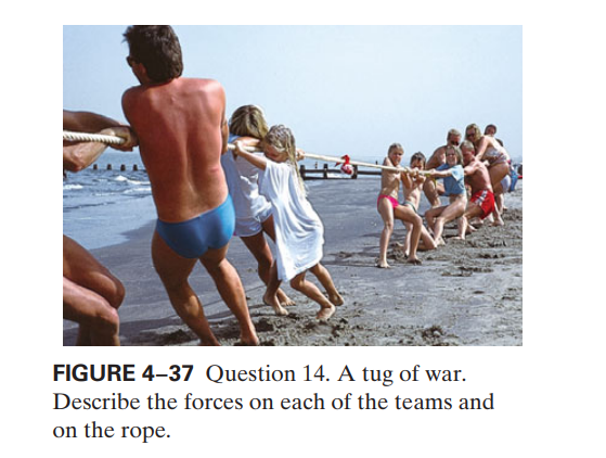 FIGURE 4-37 Question 14. A tug of war.
Describe the forces on each of the teams and
on the rope.
