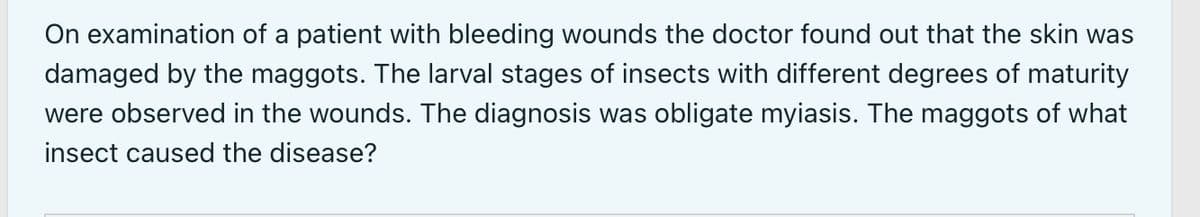 On examination of a patient with bleeding wounds the doctor found out that the skin was
damaged by the maggots. The larval stages of insects with different degrees of maturity
were observed in the wounds. The diagnosis was obligate myiasis. The maggots of what
insect caused the disease?