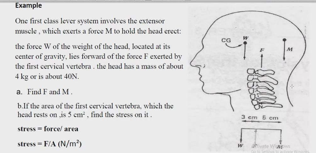 Example
One first class lever system involves the extensor
muscle,
which exerts a force M to hold the head erect:
CG
the force W of the weight of the head, located at its
center of gravity, lies forward of the force F exerted by
the first cervical vertebra. the head has a mass of about
4 kg or is about 40N.
a. Find F and M.
b.If the area of the first cervical vertebra, which the
head rests on is 5 cm?, find the stress on it .
3 cm 5 cm
stress = force/ area
stress = F/A (N/m2)
Eivate Wipws
Go to Settinos to activate Windows
