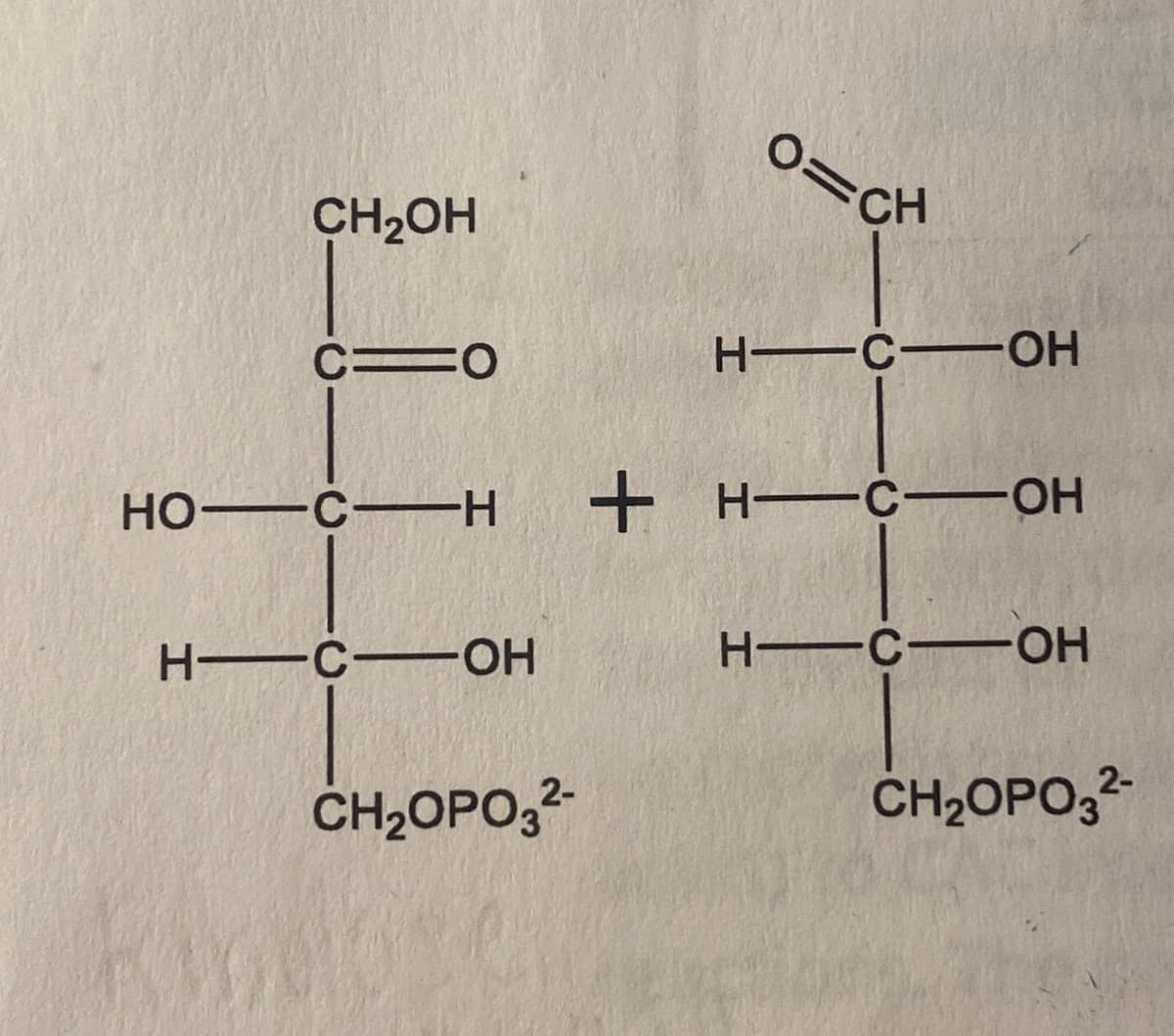 CH2OH
O=CH
C=O
H-C-OH
HO—C—H
+H-
H-C-OH
H-C-OH
H-C-OH
CH₂OPO32-
2-
CH₂OPO3²-