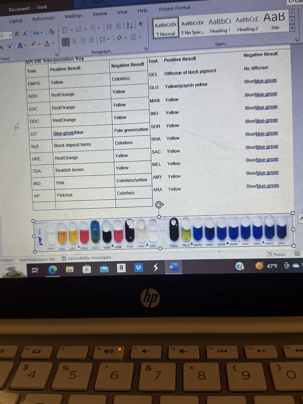 11
Document1 - Word
Layout
A A Aa A
*
Font
| |
²A-A
d States)
P
References
ONPG
ADH
LDC
API 20E Interpretation Key
Test
Positive Result
f4
ODC
$
CIT
H₂S
URE
TDA
IND
VP
Qapi 20 E
4
밥
4
Mailings
Yellow
E-E-F-
E-E-F-==||
====EA-B
Paragraph
Red/Orange
Red/Orange
Text Predictions: On
▸
Red/Orange
Blue-green/blue
Black deposit forms
Red/Orange
Reddish brown
Pink
Pink/red
f5
Review
%
Accessibility: Investigate
5
FRI
16
View Help
Negative Result
Colorless
Yellow
Yellow
Yellow
Pale green/yellow
Colorless
Yellow
Yellow
Colorless/yellow
Colorless
6
a
IOA
f7
IND
Test
AaBbCcDc AaBbCcDc AaBbC AaBbCcL AaB
|
1 Normal
T No Spac... Heading
1
Heading 2
Title
GEL
GLU
Picture Format
MAN Yellow
INO Yellow
SOR Yellow
&
Positive Result
RHA Yellow
SAC Yellow
VEL
Diffusion of black pigment
Yellow/grayish yellow
MEL Yellow
AMY Yellow
Ⓡ
ARA Yellow
0
hp
7
10
W
f8
8
9
fo
Styles
SOR - ARA
Negative Result
No diffusion
Blue/blue-green
Blue/blue-green
Blue/blue-green
Blue/blue-green
Blue/blue-green
Blue/blue-green
Blue/blue-green
Blue/blue-green
Blue/blue-green
f10
9
MEK
Focus
47°F
|>
r
XX