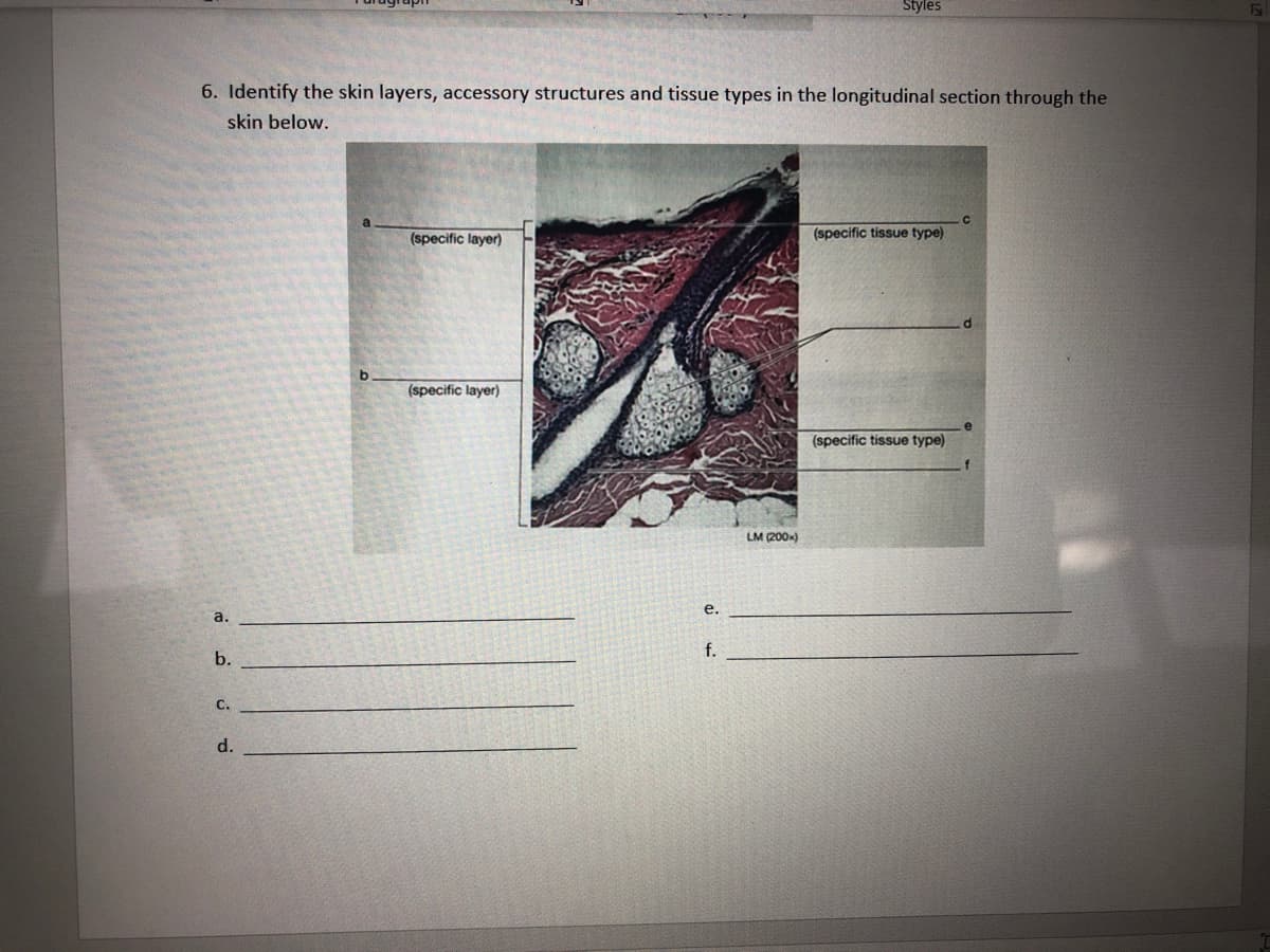 6. Identify the skin layers, accessory structures and tissue types in the longitudinal section through the
skin below.
a.
b.
C.
d.
a
b
(specific layer)
(specific layer)
e.
f.
Styles
LM (200x)
(specific tissue type)
(specific tissue type)