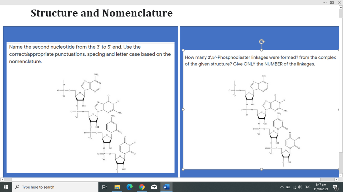 Structure and Nomenclature
Name the second nucleotide from the 3' to 5' end. Use the
correct/appropriate punctuations, spacing and letter case based on the
How many 3',5'-Phosphodiester linkages were formed? from the complex
of the given structure? Give ONLY the NUMBER of the linkages.
nomenclature.
NH;
NH,
0=P-
0=P- 0
NH:
NH:
NH.
0=P-o
OH
OH
-0-
0=P-0-
OH
1:47 pm
P Type here to search
A O
G 4) ENG
11/10/2021
14
