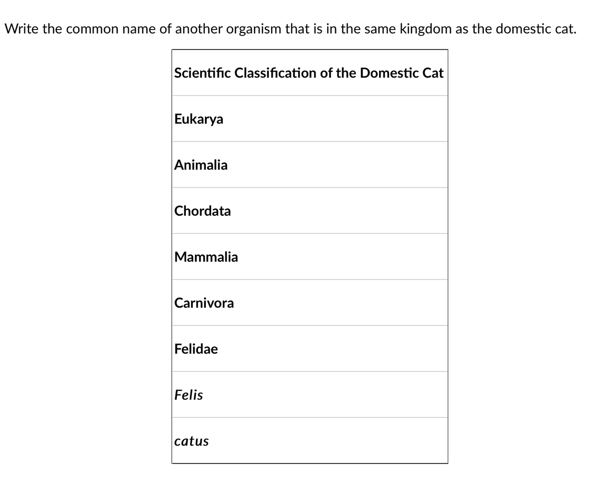 Write the common name of another organism that is in the same kingdom as the domestic cat.
Scientific Classification of the Domestic Cat
Eukarya
Animalia
Chordata
Mammalia
Carnivora
Felidae
Felis
catus
